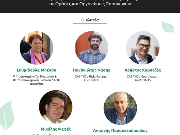 Πρόσκληση σε εκδήλωση – Εισαγωγή στα συλλογικά σχήματα (Χώρα Μεσσηνίας)