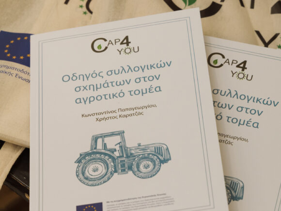 Ολοκλήρωση Workshop σε Χώρα Μεσσηνίας – Οδηγός Συλλογικών Σχημάτων