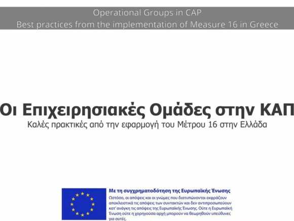 Νέο βίντεο στο κανάλι YouTube: Παραδείγματα καλών πρακτικών από Επιχειρησιακές Ομάδες του Μέτρου 16 της ΚΑΠ