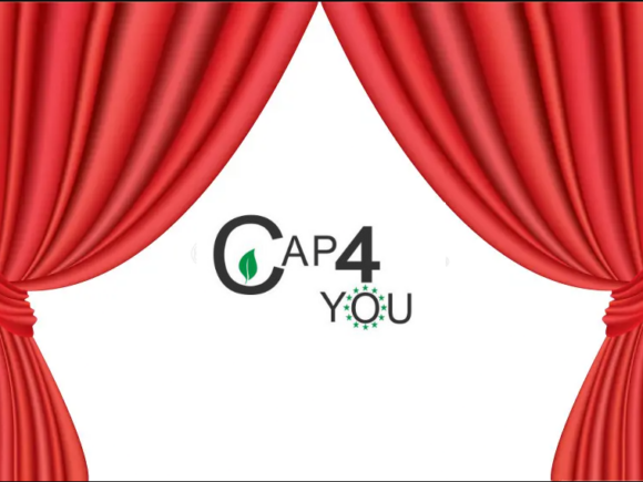 Αξιολόγηση έργου CAP4YOU